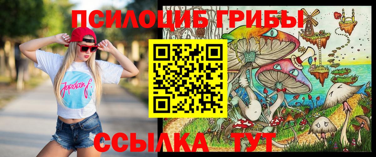 Псилоцибиновые грибы Cubensis  Псилоцибиновые грибы прущие грибы  Вход с VPN  Пермь 